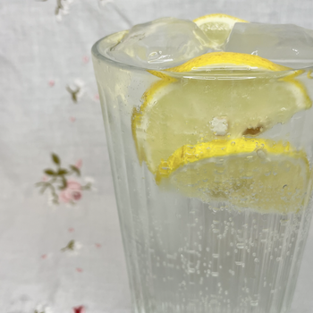 Seagram’s Gin &Tonic