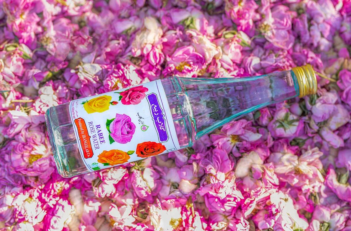 Aigua de Roses: Destil·lant els Records de la Primavera